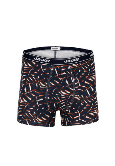 Pack of 2 men's blue and leaf boxers