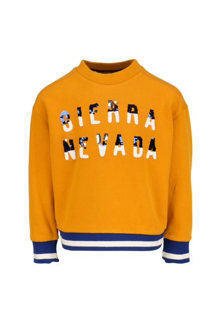 Sierra on sale nevada sweatshirt