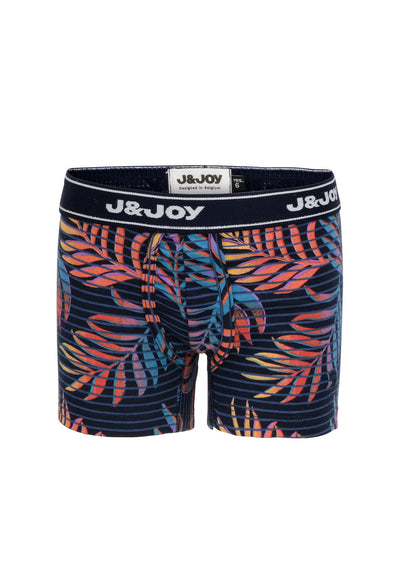 Pack of 2 boy's boxers with smiley and plant print