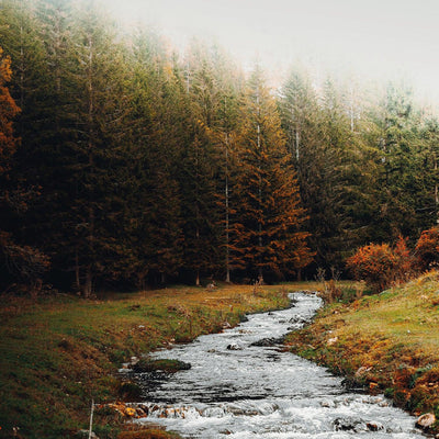 5 lieux magnifiques à visiter en Belgique