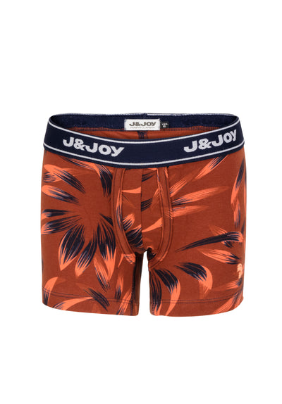 Pack of 2 boy's large leaf boxers