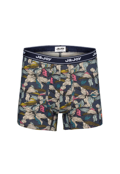 Pack de 2 boxers homme végétal multicolore