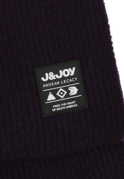 Echarpe homme tricolore