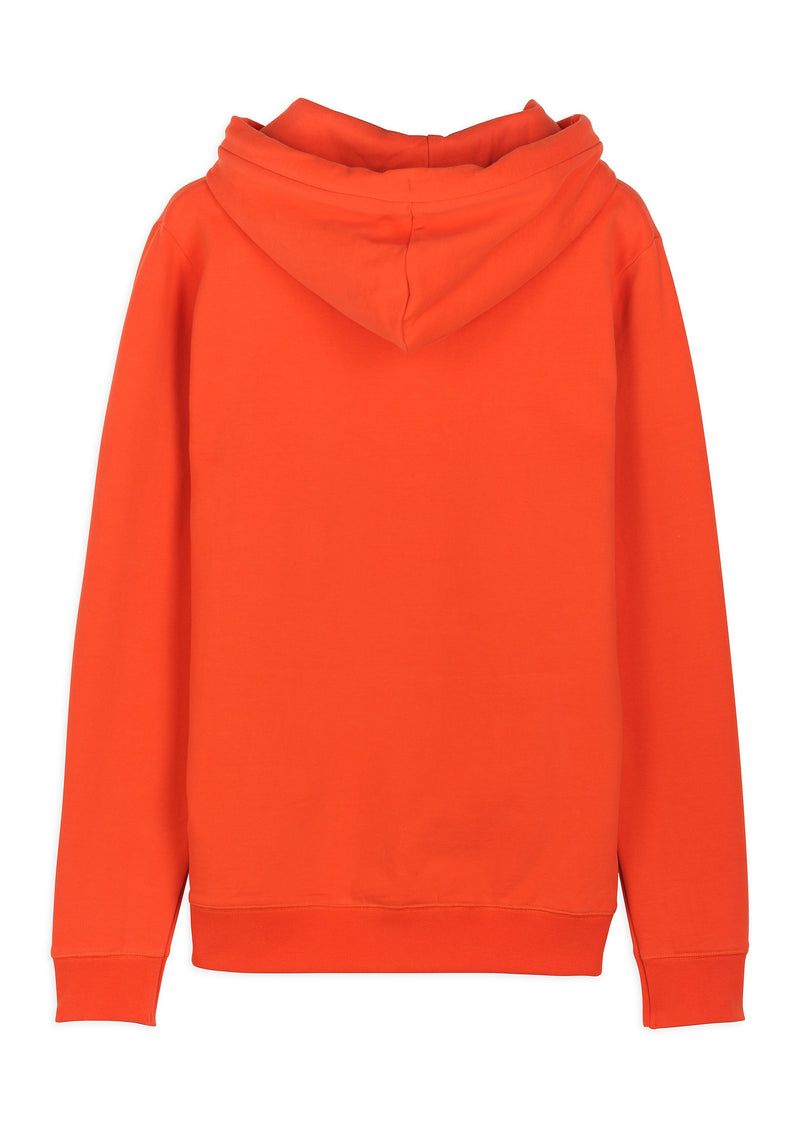 Sweat à capuche Islands of Frost Orange Homme - packshot back