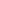 Polo Essentials Femme 25 Pink Fushia | J&JOY.