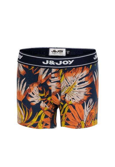 Pack of 2 boy's boxers with plant print motifs
