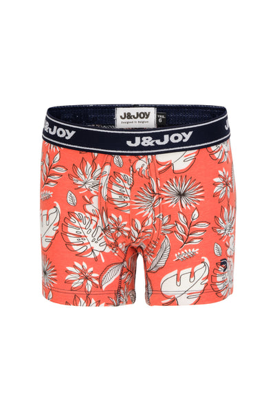 Pack of 2 Boy's Boxers with Palm Tree and Leaf Prints