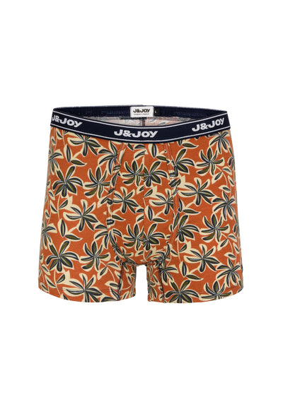 Pack of 2 cactus and palm tree men's boxers